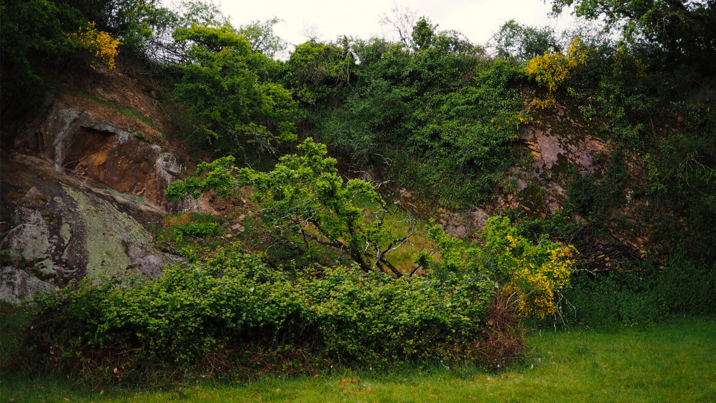 Les Jardins de la Sorcière