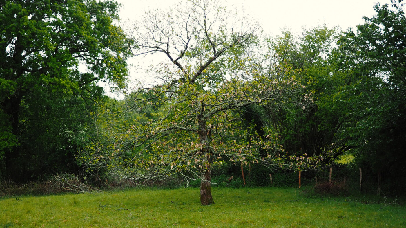 Les Jardins de la Sorcière