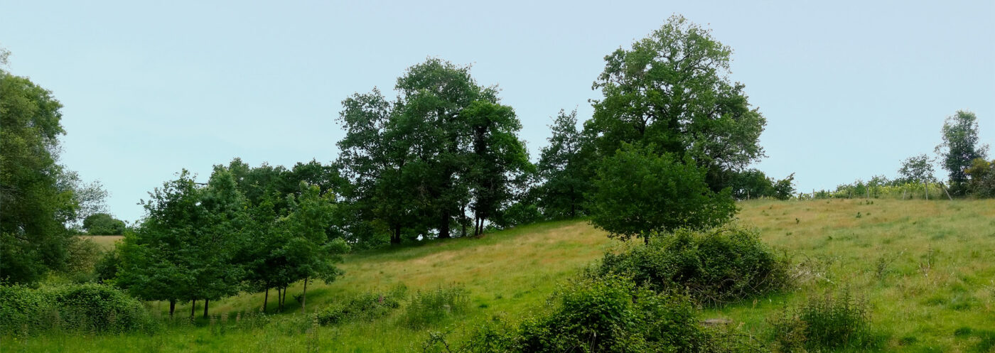 Les Jardins de la Sorcière