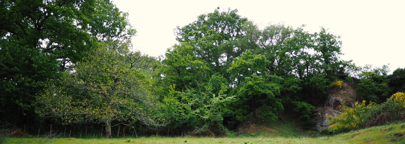 Les Jardins de la Sorcière