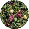 Tisane en mélange Briso